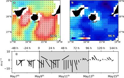 Short-Term Spatiotemporal Variability in Picoplankton Induced by a Submesoscale Front South of Gran Canaria (Canary Islands)